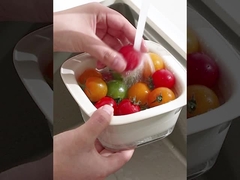 GJ3166 Plastic Drain Basket